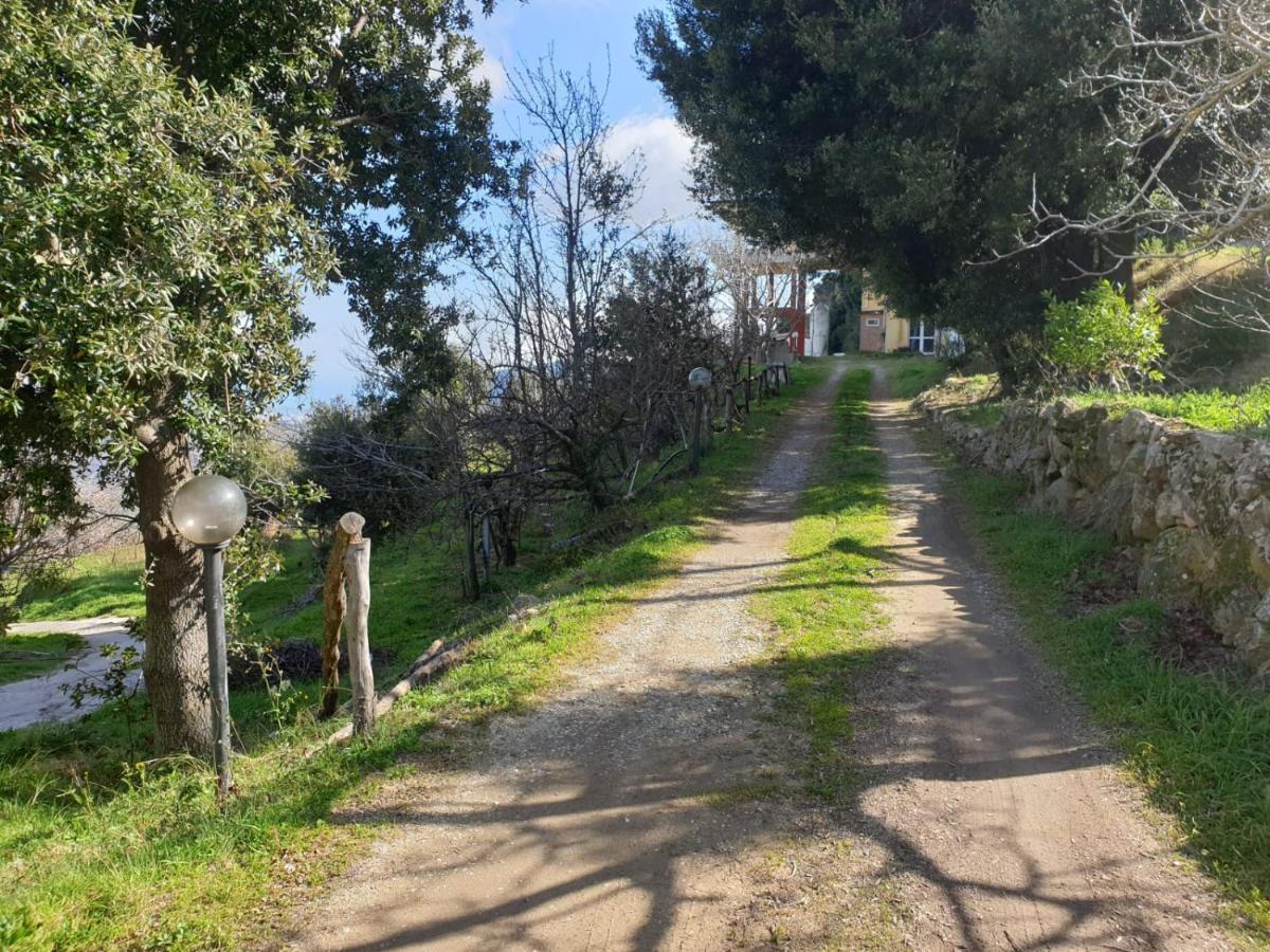 Oasi Del Benessere Ilbono Extérieur photo