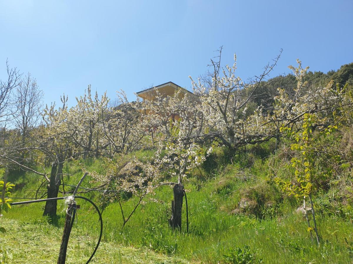 Oasi Del Benessere Ilbono Extérieur photo